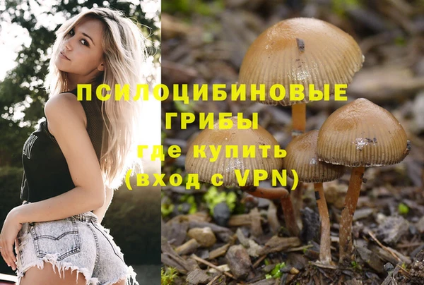 спиды Беломорск