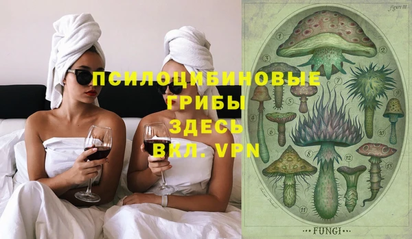 ПСИЛОЦИБИНОВЫЕ ГРИБЫ Белоозёрский