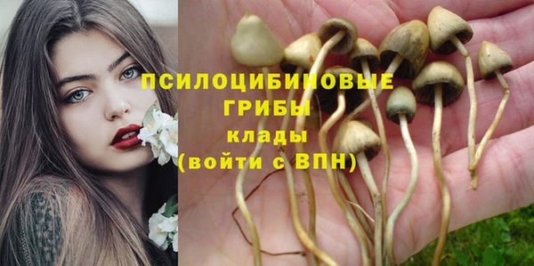 ПСИЛОЦИБИНОВЫЕ ГРИБЫ Белоозёрский