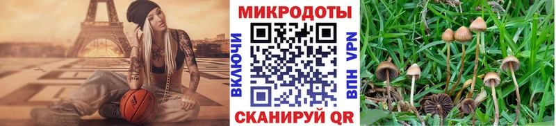 Псилоцибиновые грибы прущие грибы  Омск 